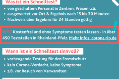 Schnelltest