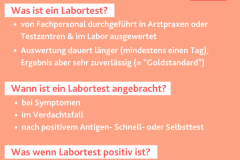 Labortest